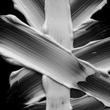 Sebastian Professional Penetraitt Conditioner Αναδόμησης για Ταλαιπωρημένα Μαλλιά 200ml 3