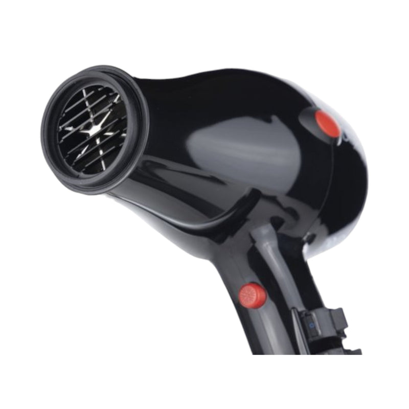 ID Italian Design GTI2000 Compact Professional Hairdryer