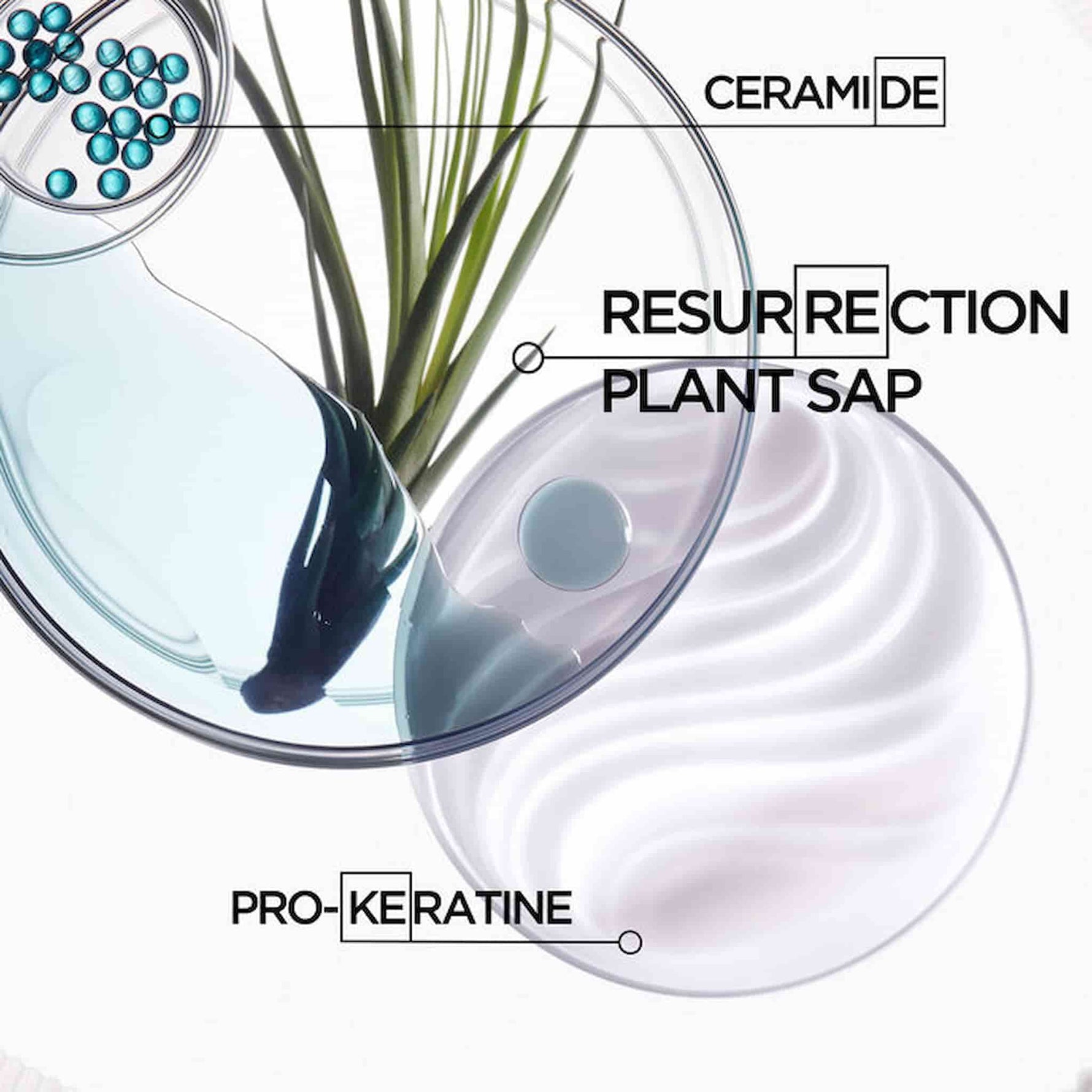 Kerastase Resistance Refill Bain Force Architecte Σαμπουάν Αναδόμησης Μαλλιών 500ml 5
