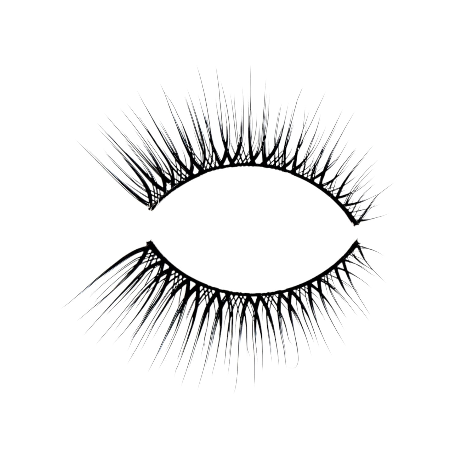 Peggy Sage False Eyelashes Regard Fascinating